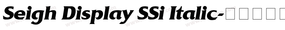 Seigh Display SSi Italic字体转换